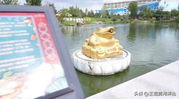 建宝优配 动物园打捞许愿池12083元捐助重病小游客，善款就该善用