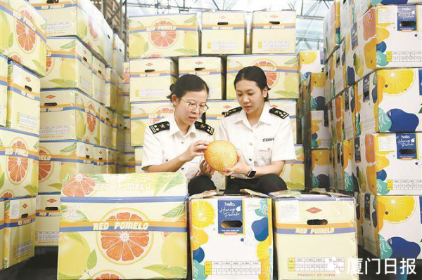牛博士 全国首批出口蜜柚“批次检验(检疫)”改革试点落地福建