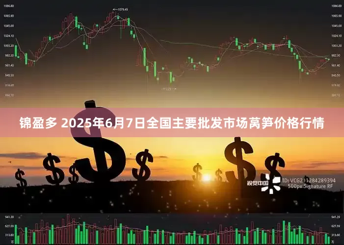 锦盈多 2025年6月7日全国主要批发市场莴笋价格行情